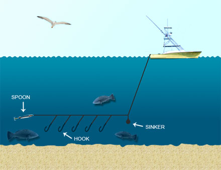Deep-Sea Fishing Techniques