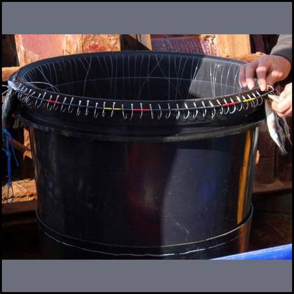 Longline basket